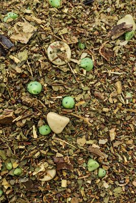 White Chocolate Mint