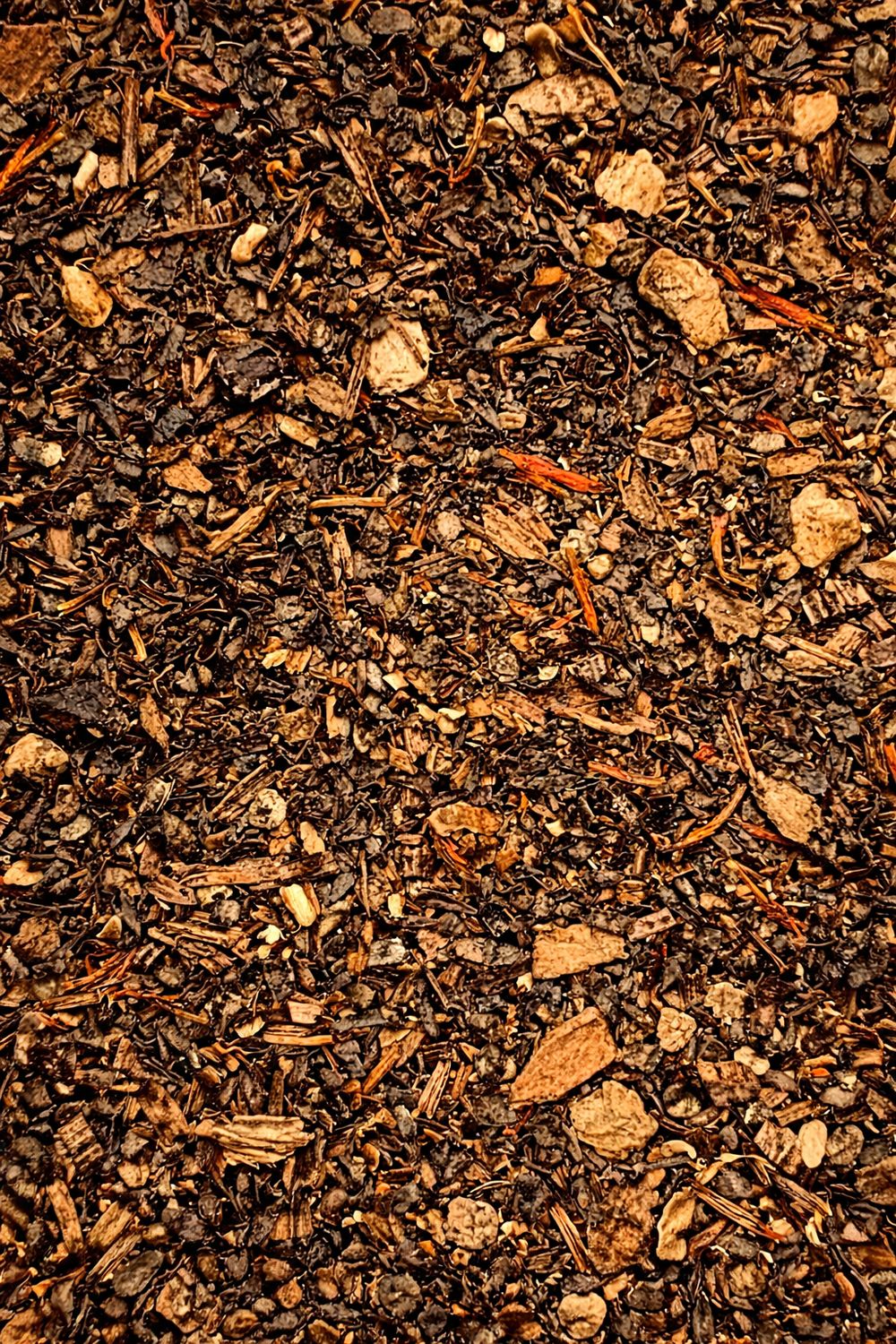 The Great Pumpkin Chai