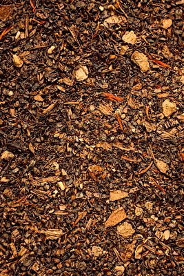 The Great Pumpkin Chai