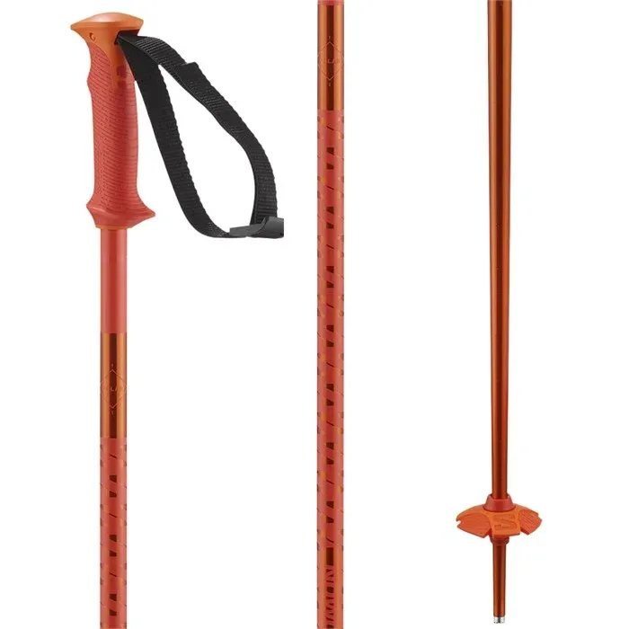 Salomon Polar Pole