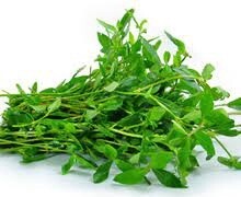 Mukunuwenna Bunch