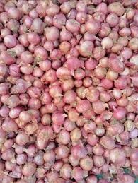 Col Fresh Red Onion 300g