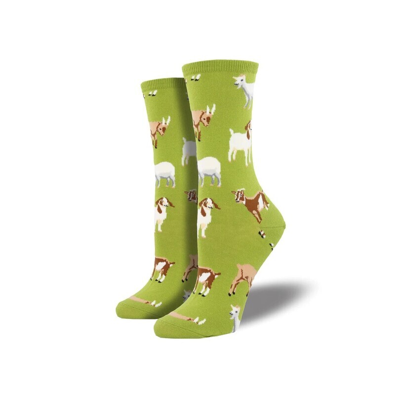 Silly Billy silly-billy