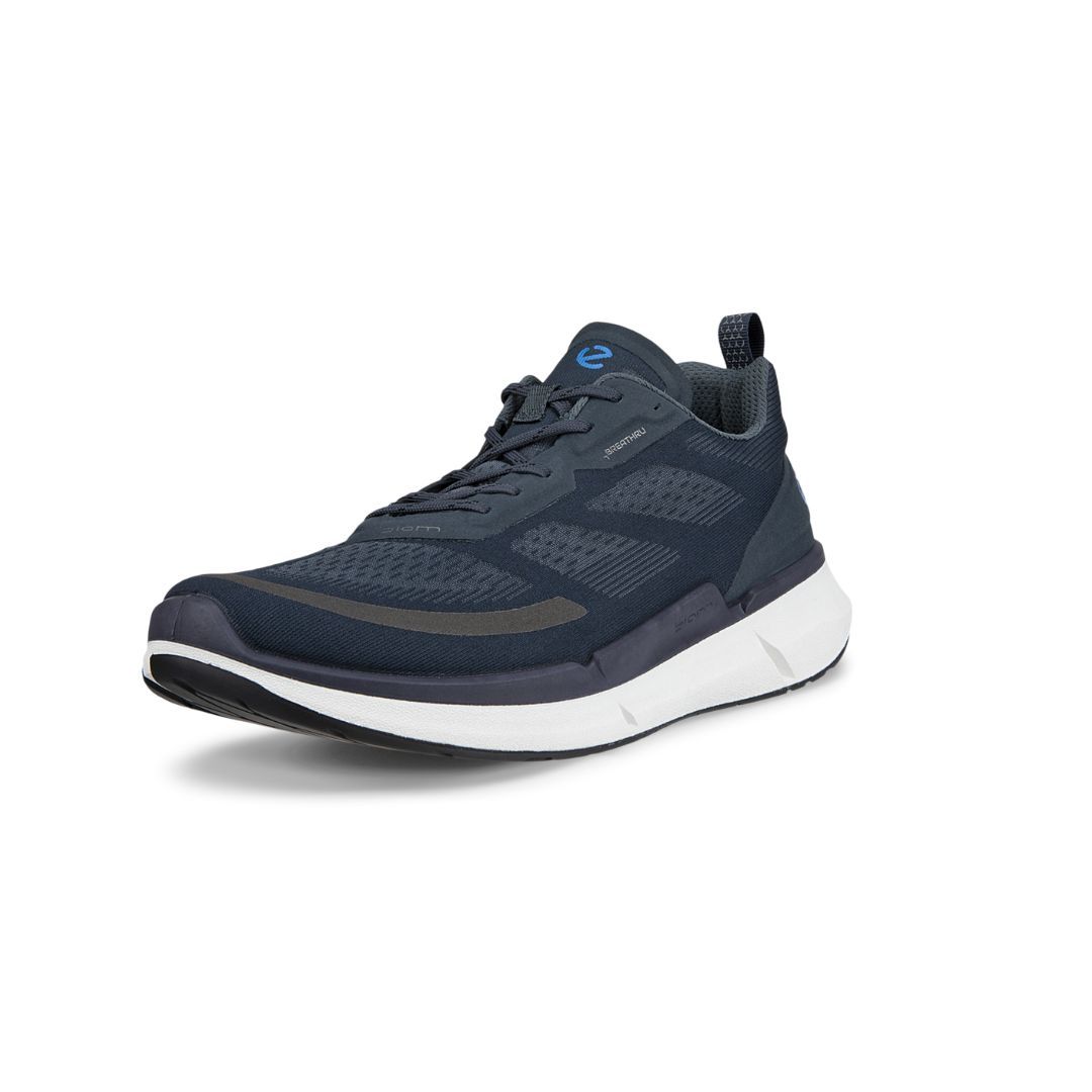 830754 Biom 2.2, Color: Ombre, Size: 44