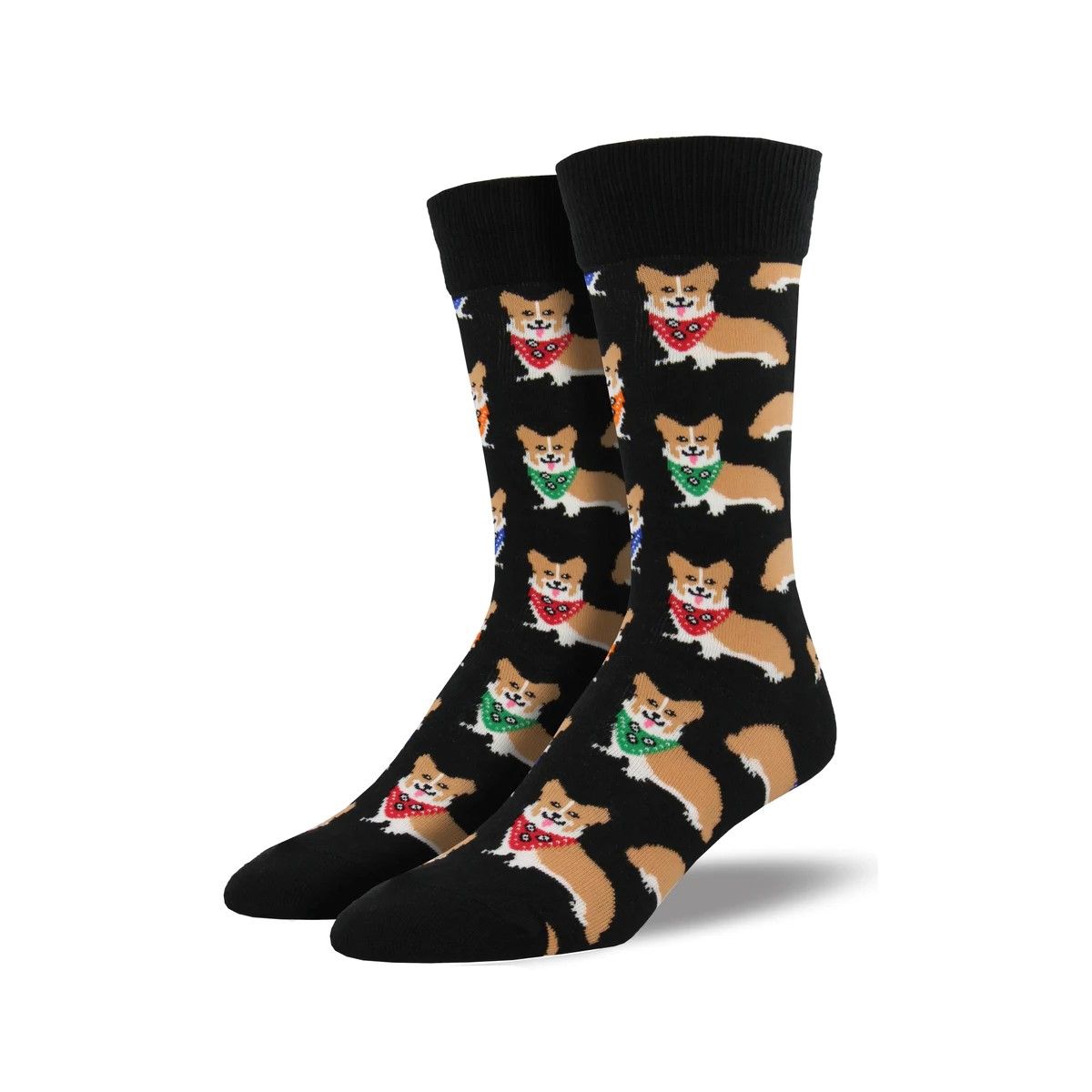 Corgi, Color: Black