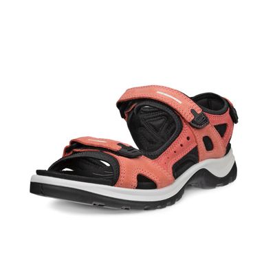 69563 Yucatan Offroad