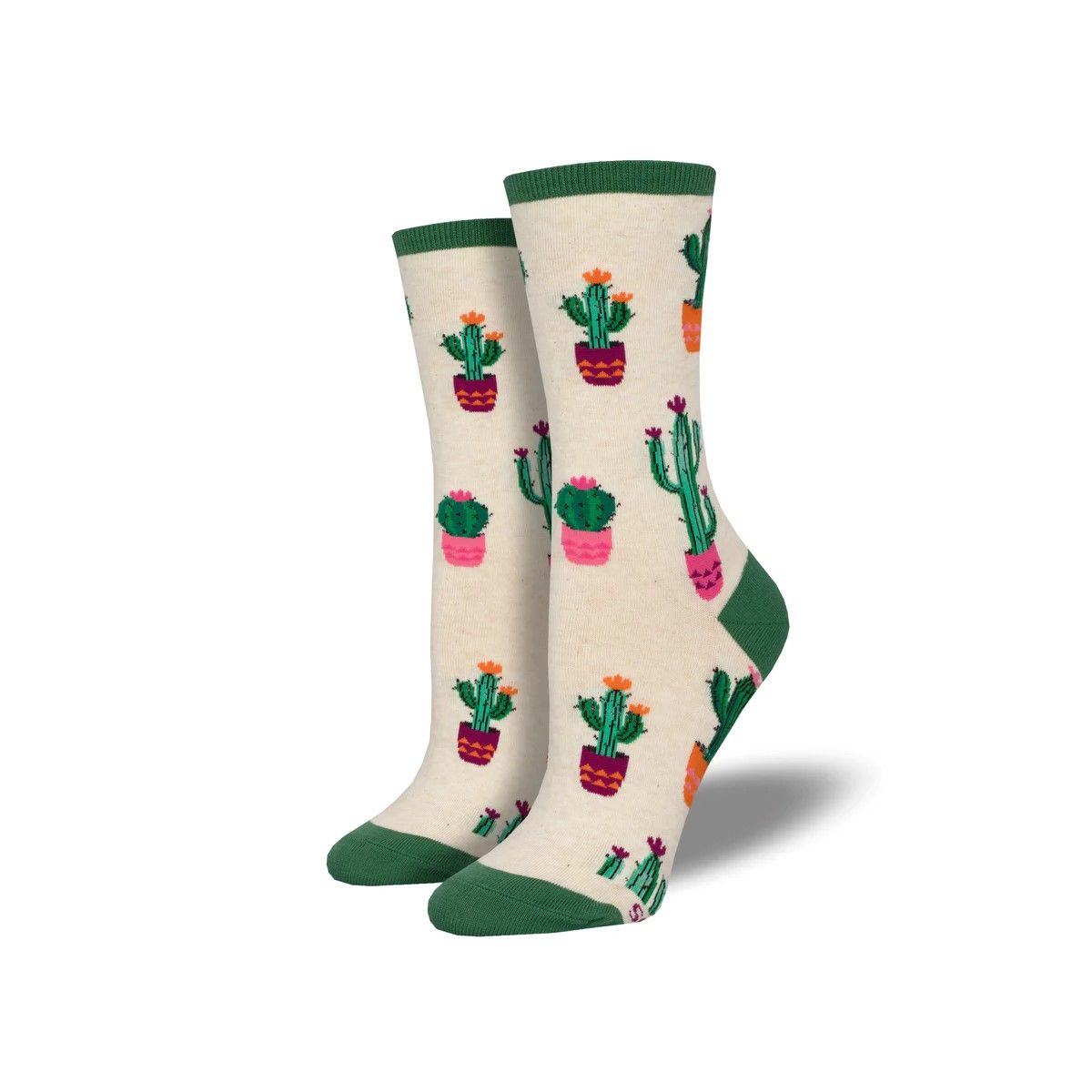 Court of Cactus, Color: Ivory