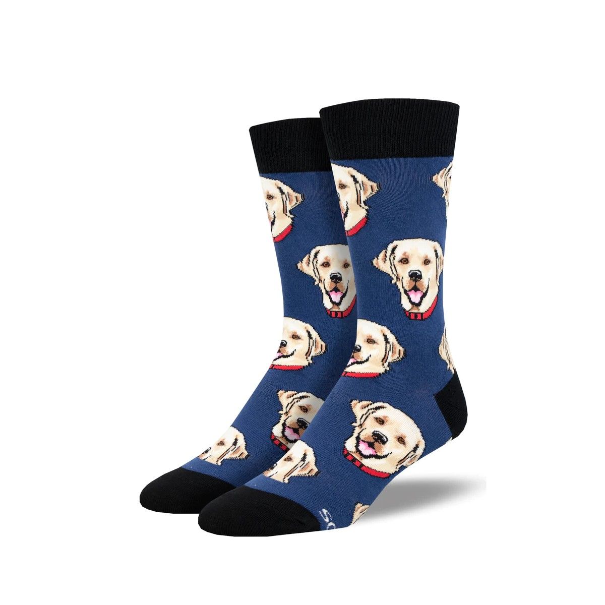 M Labrador, Color: Blue