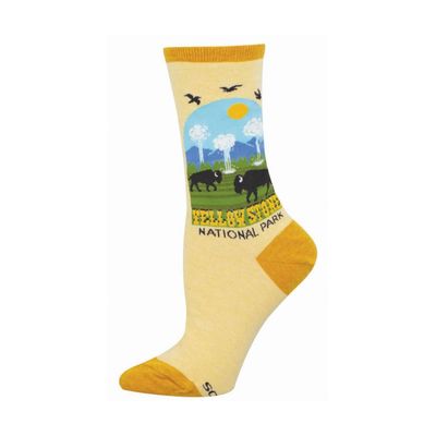 Yellowstone National Park