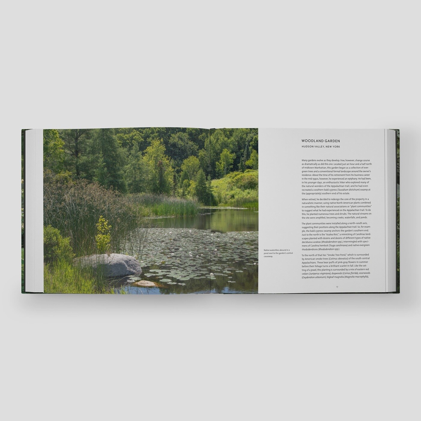 Garden Portraits: Experiences of Natural Beauty