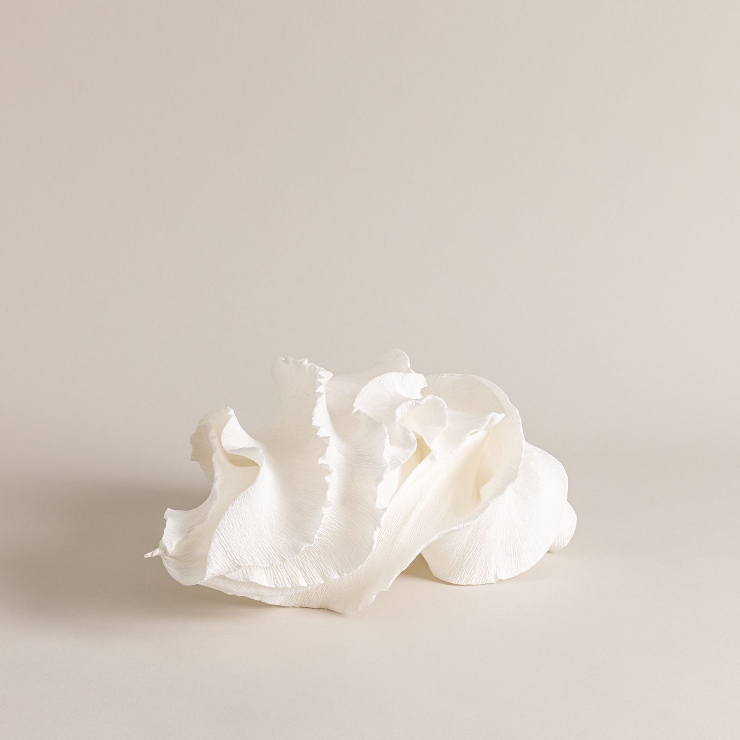 Shell Paper Light Sculpture