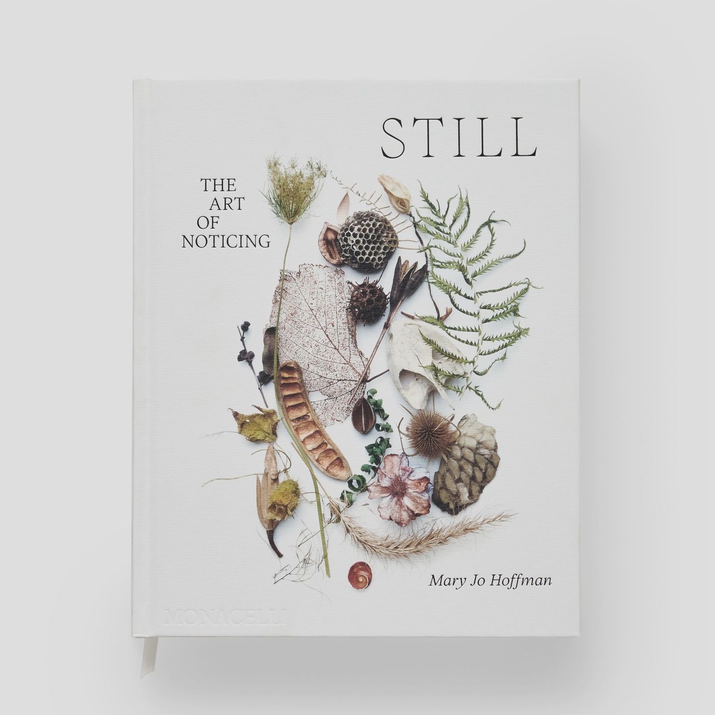STILL: The Art of Noticing Mary Jo Hoffman