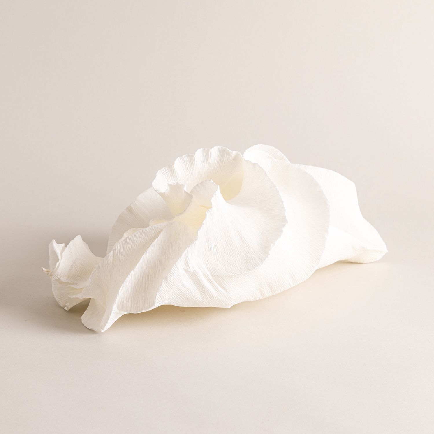 Shell Paper Light Sculpture n. 1