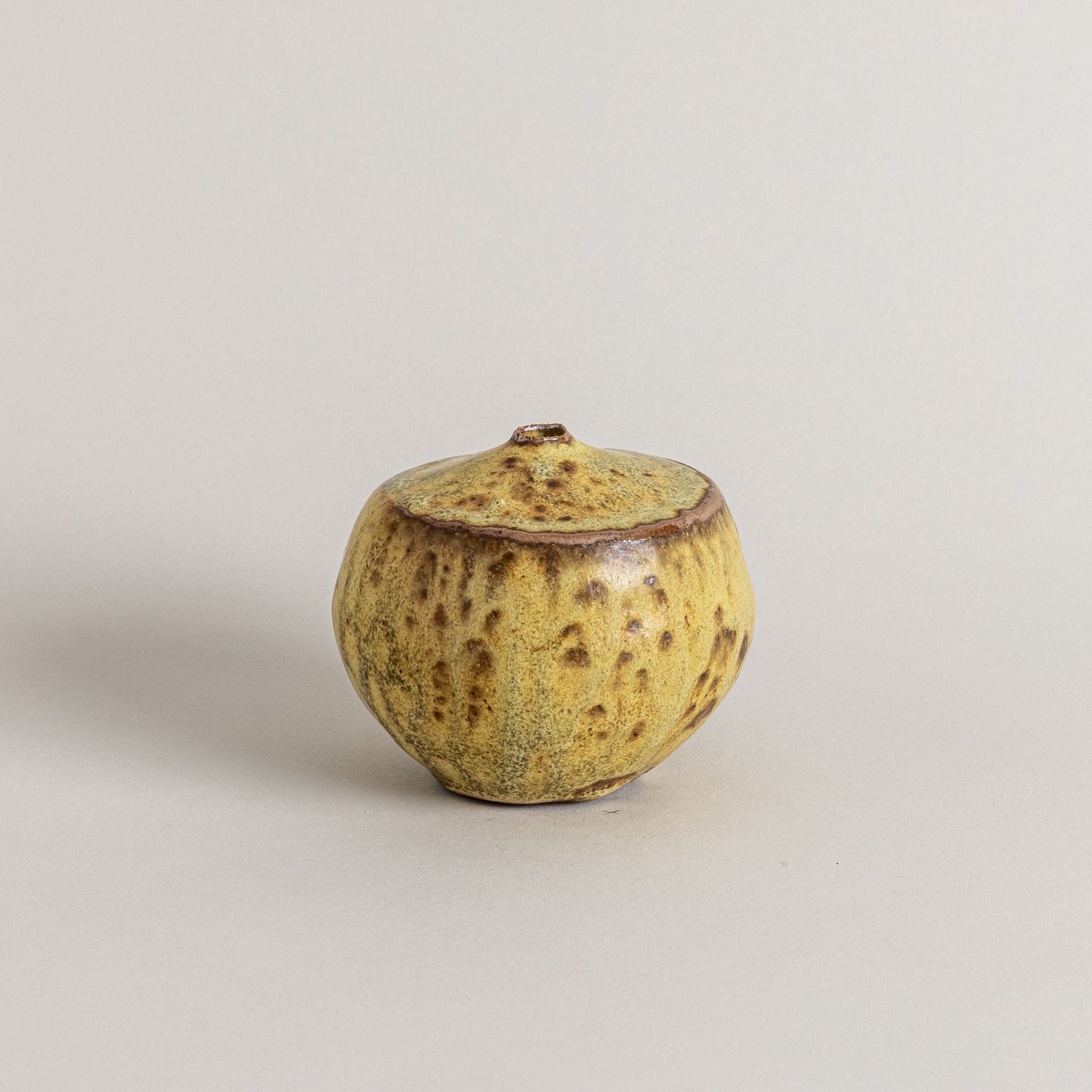 Small Spotted Vessel