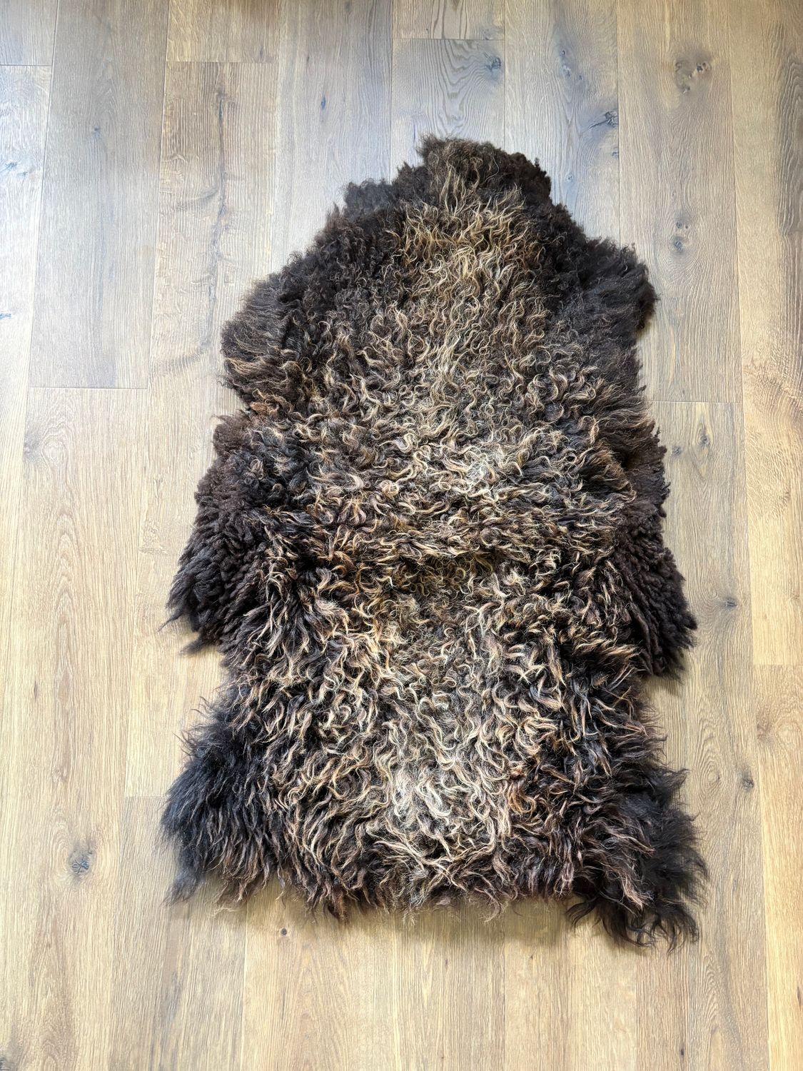 Brown Large Curly Pelt