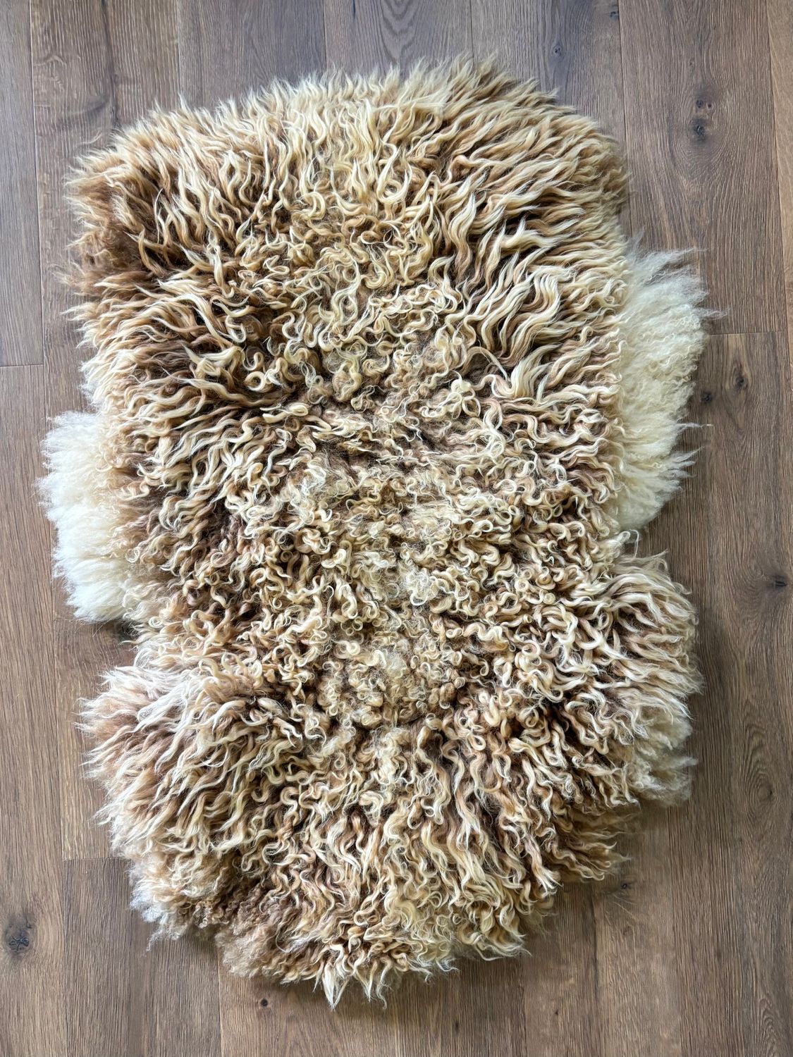 Camel & White Curly Large Pelt