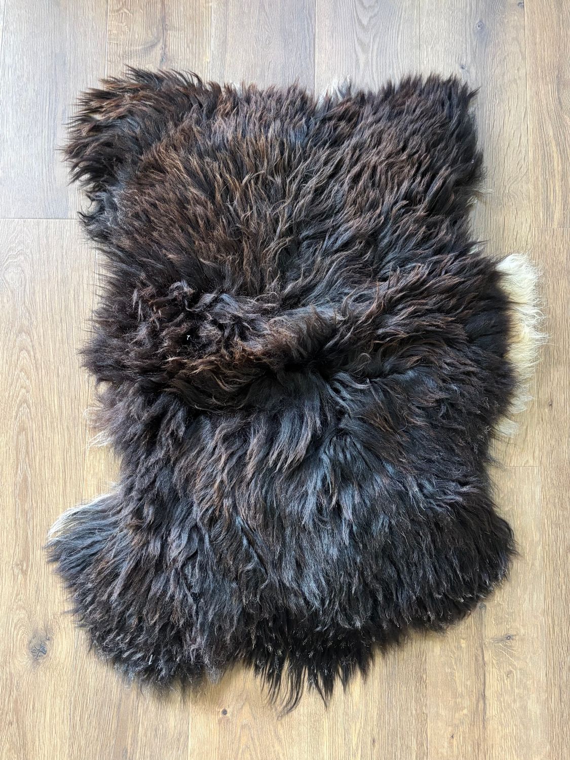 Black Large Pelt (W)