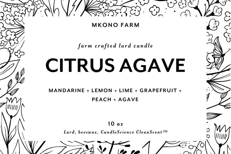 Lard Candle - CITRUS AGAVE Lard Candle - CITRUS AGAVE