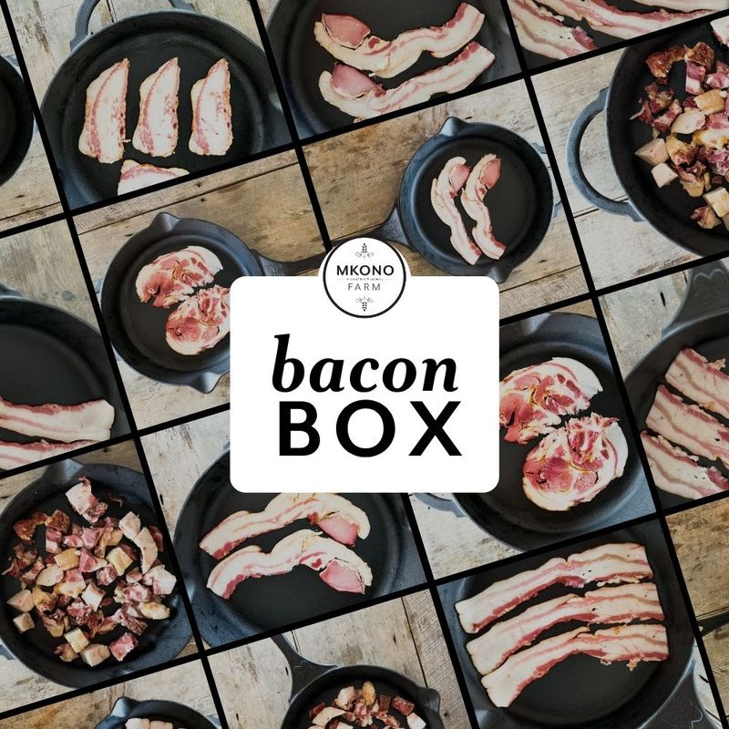 KuneKune BACON BOX