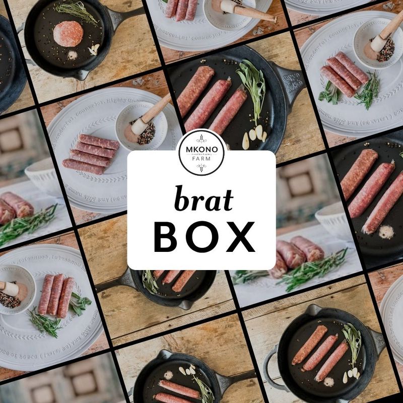 BRAT BOX |  Brat Sampler