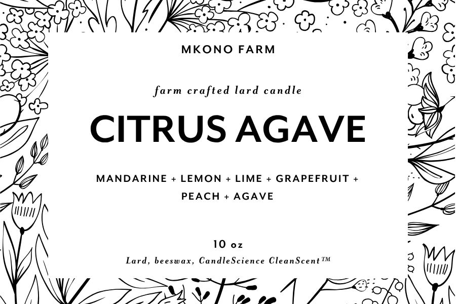 Lard Candle - CITRUS AGAVE Lard Candle - CITRUS AGAVE
