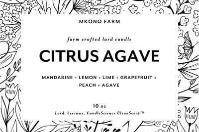 Lard Candle - CITRUS AGAVE Lard Candle - CITRUS AGAVE