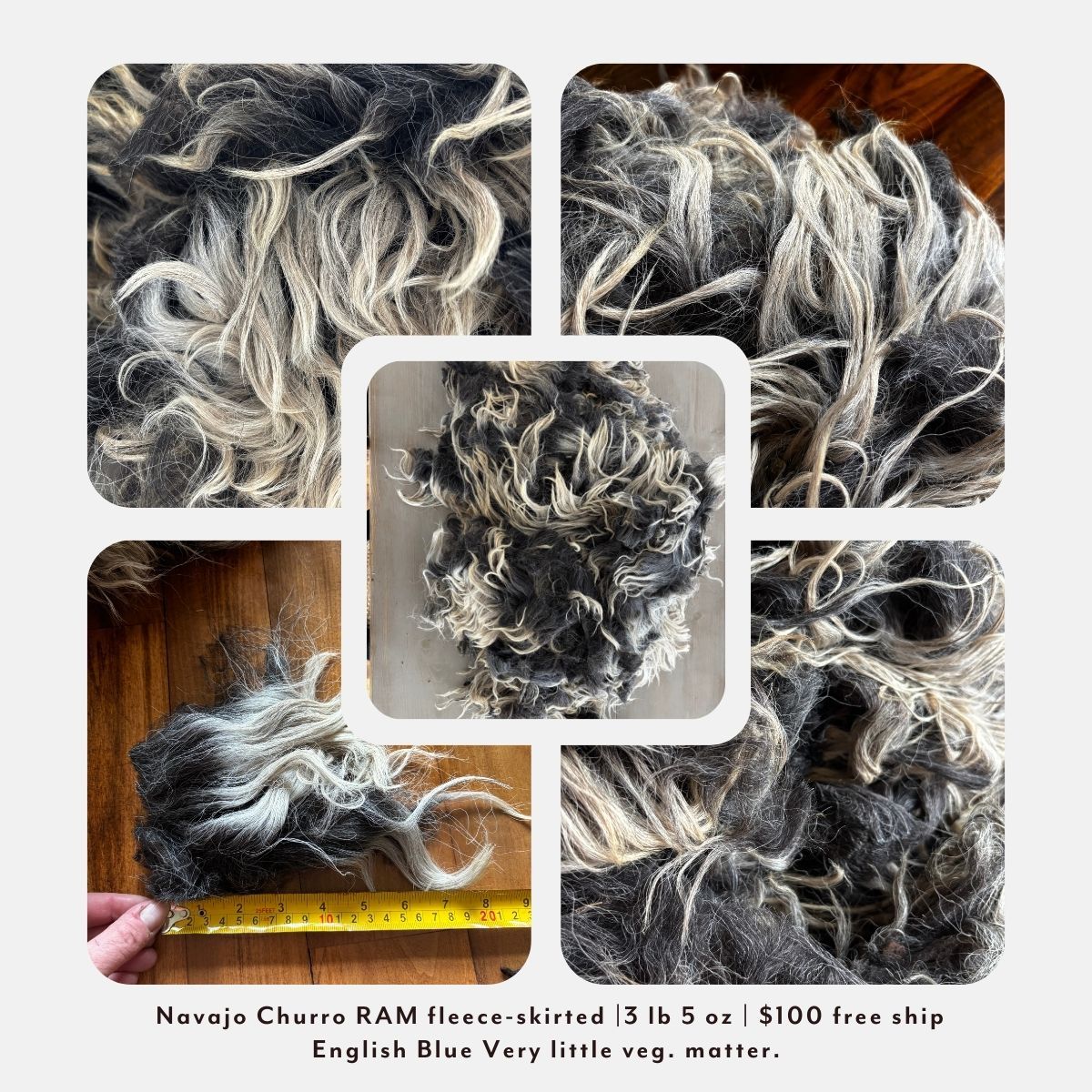 Navajo Churro Ram Fleece – Skirted | 3 lb 5 oz | Free Shipping
