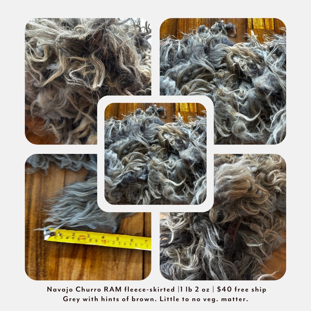 Navajo Churro Ram Lamb Fleece – Skirted | 1 lb 2 oz |  Free Shipping