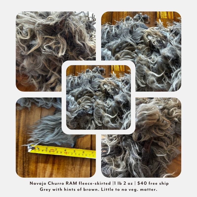 Navajo Churro Ram Lamb Fleece – Skirted | 1 lb 2 oz |  Free Shipping