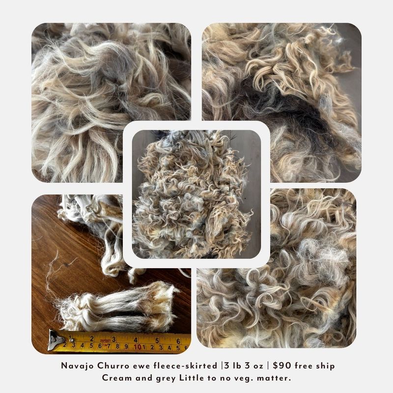 Navajo Churro Mature Ewe Fleece – Skirted | 3 lb 3 oz |  Free Shipping