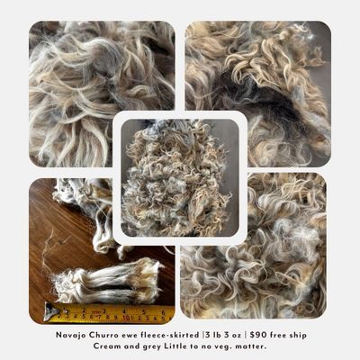 Navajo Churro Mature Ewe Fleece – Skirted | 3 lb 3 oz | Free Shipping Navajo Churro Mature Ewe Fleece – Skirted | 3 lb 3 oz | Free Shipping