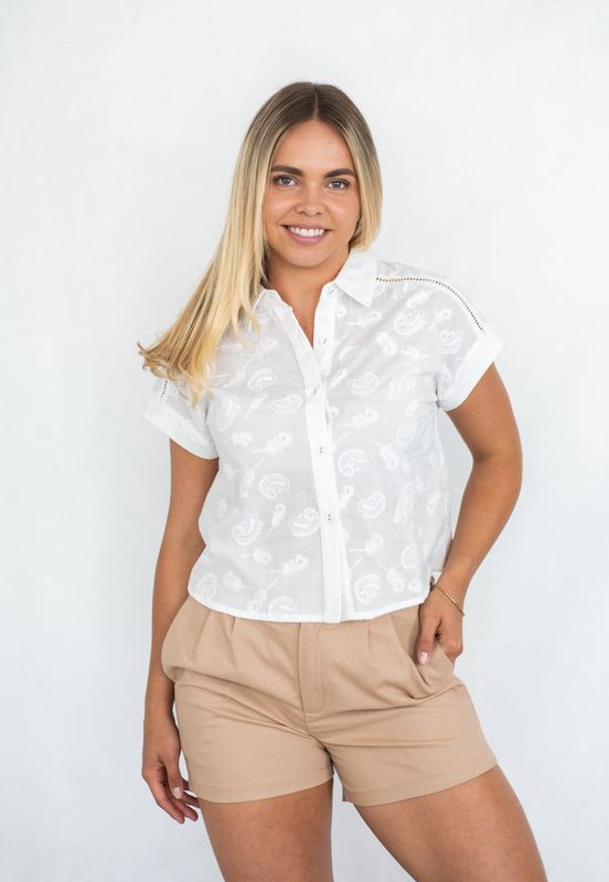 T1959 Cotton Top