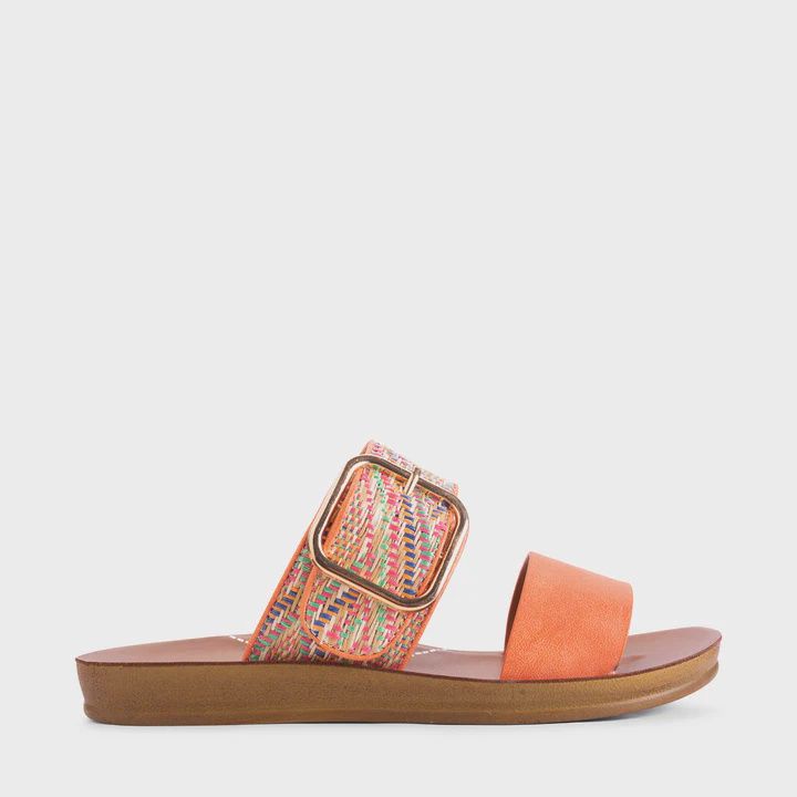 Doti by Los Cabos