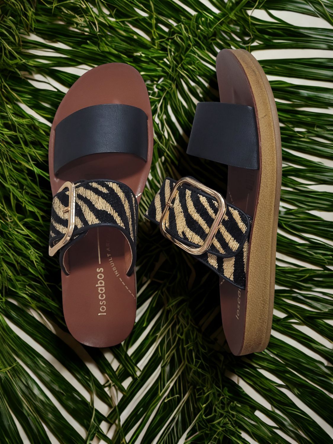 Doti By Los Cabos Black/Zebra