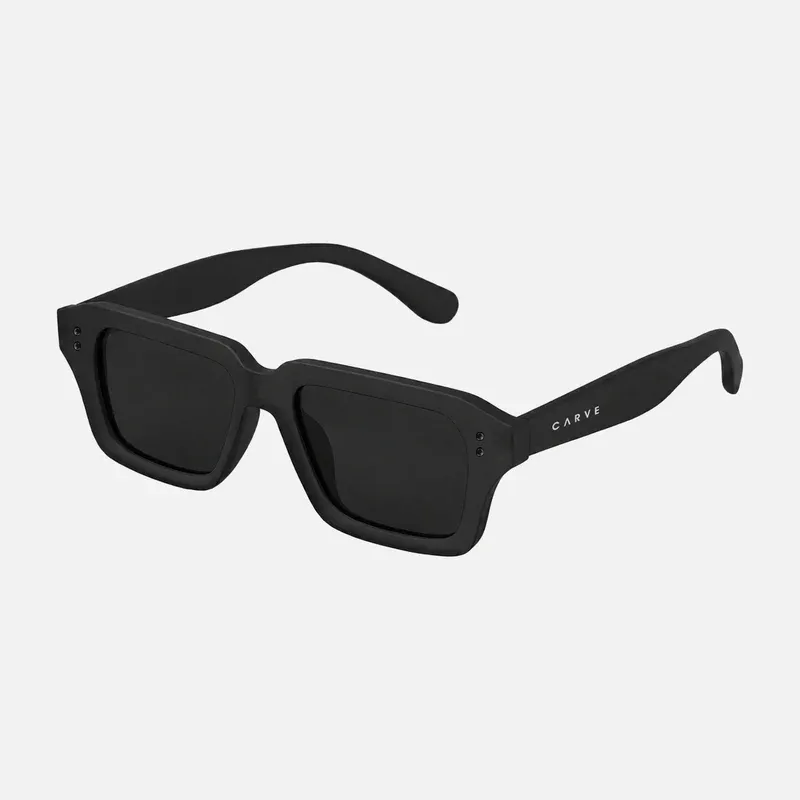 Anyways Carve Sunglasses