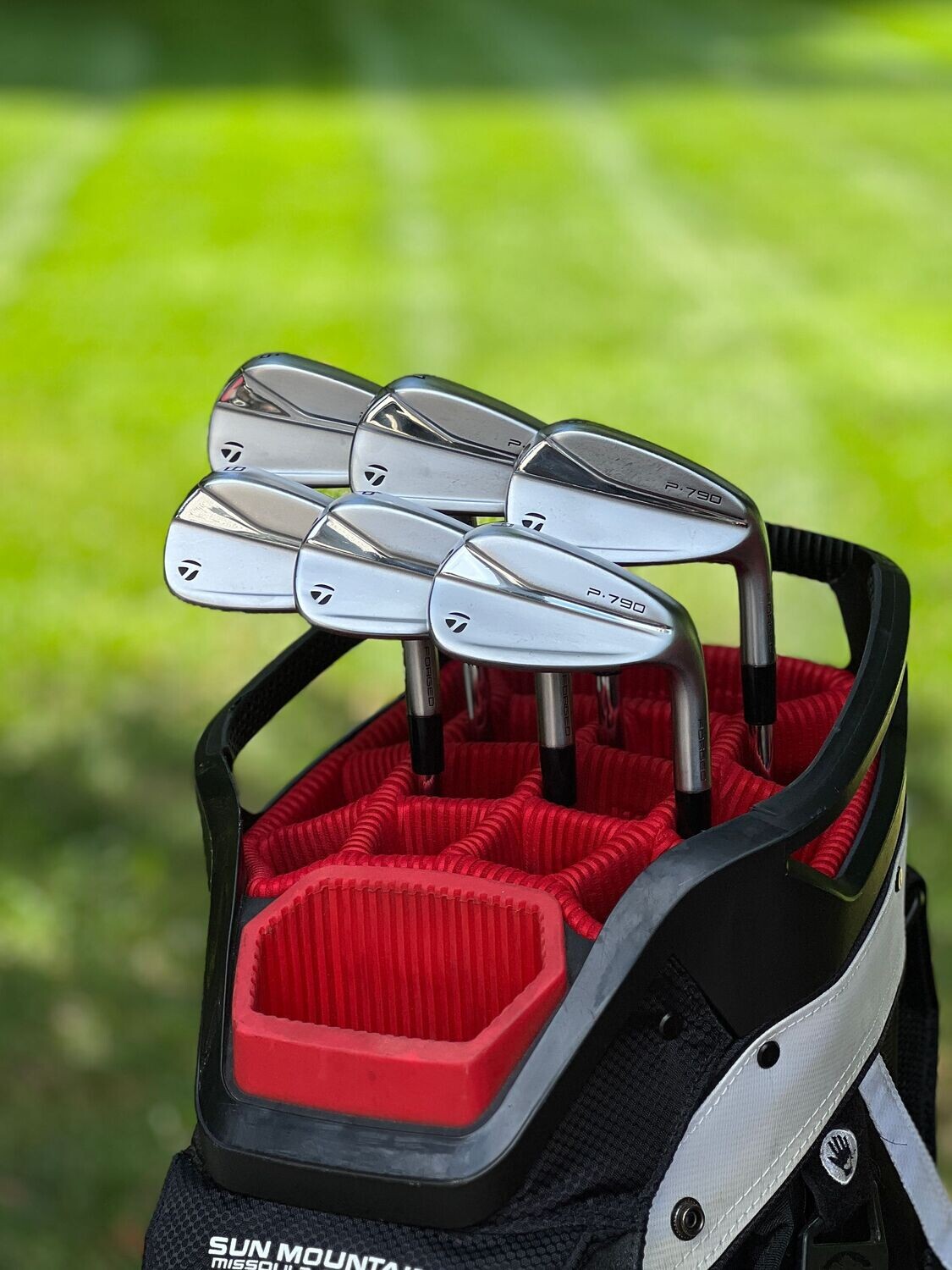 Taylormade P790 Iron Set