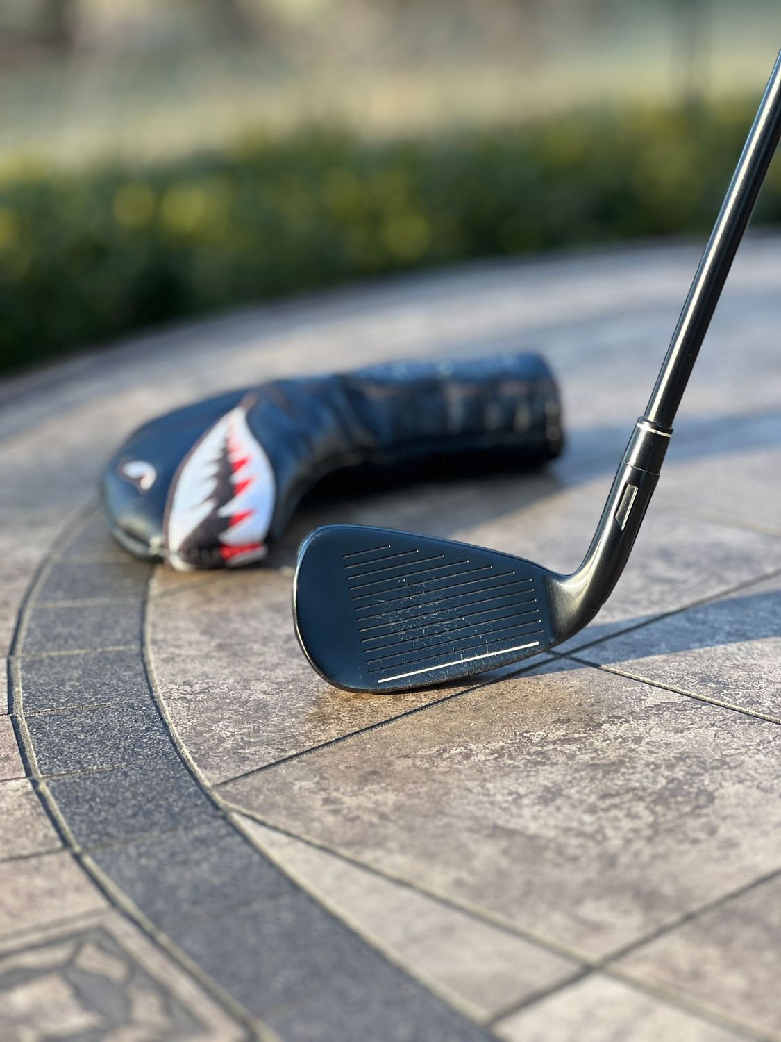 TaylorMade - イチロー hqdefault.jpg