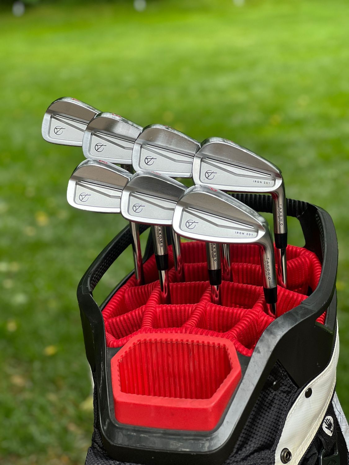Takomo 201 Iron Set