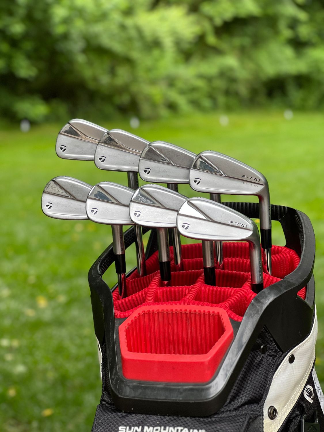 Taylormade P770/P790 Combo Iron Set