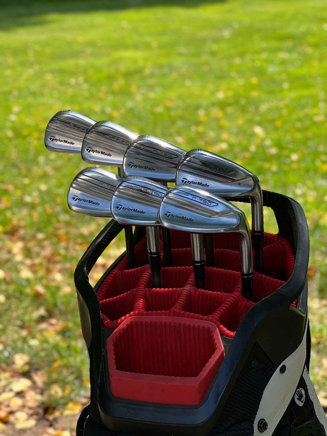 Taylormade P790 2019 Iron Set