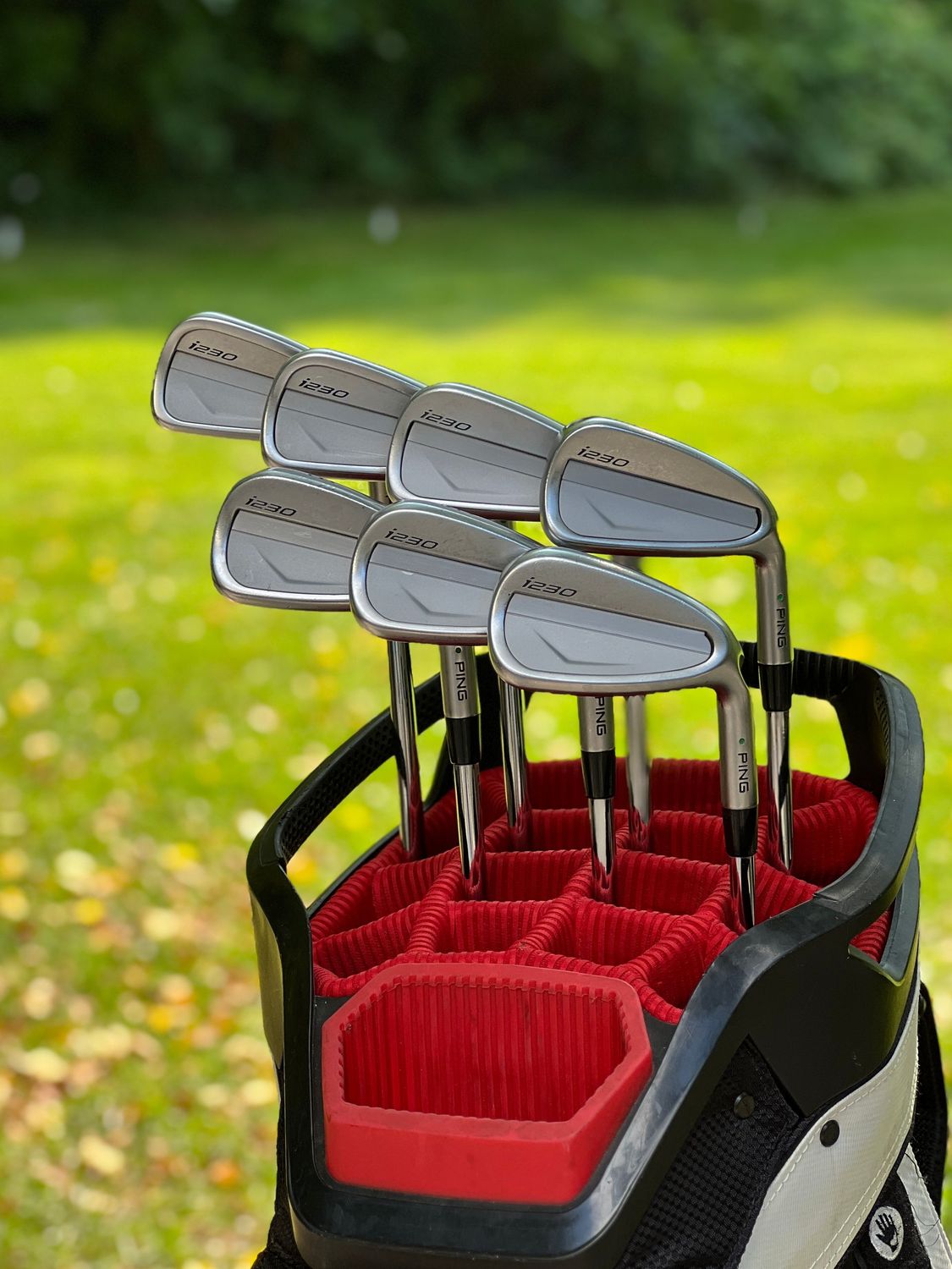 Ping i230 Iron Set