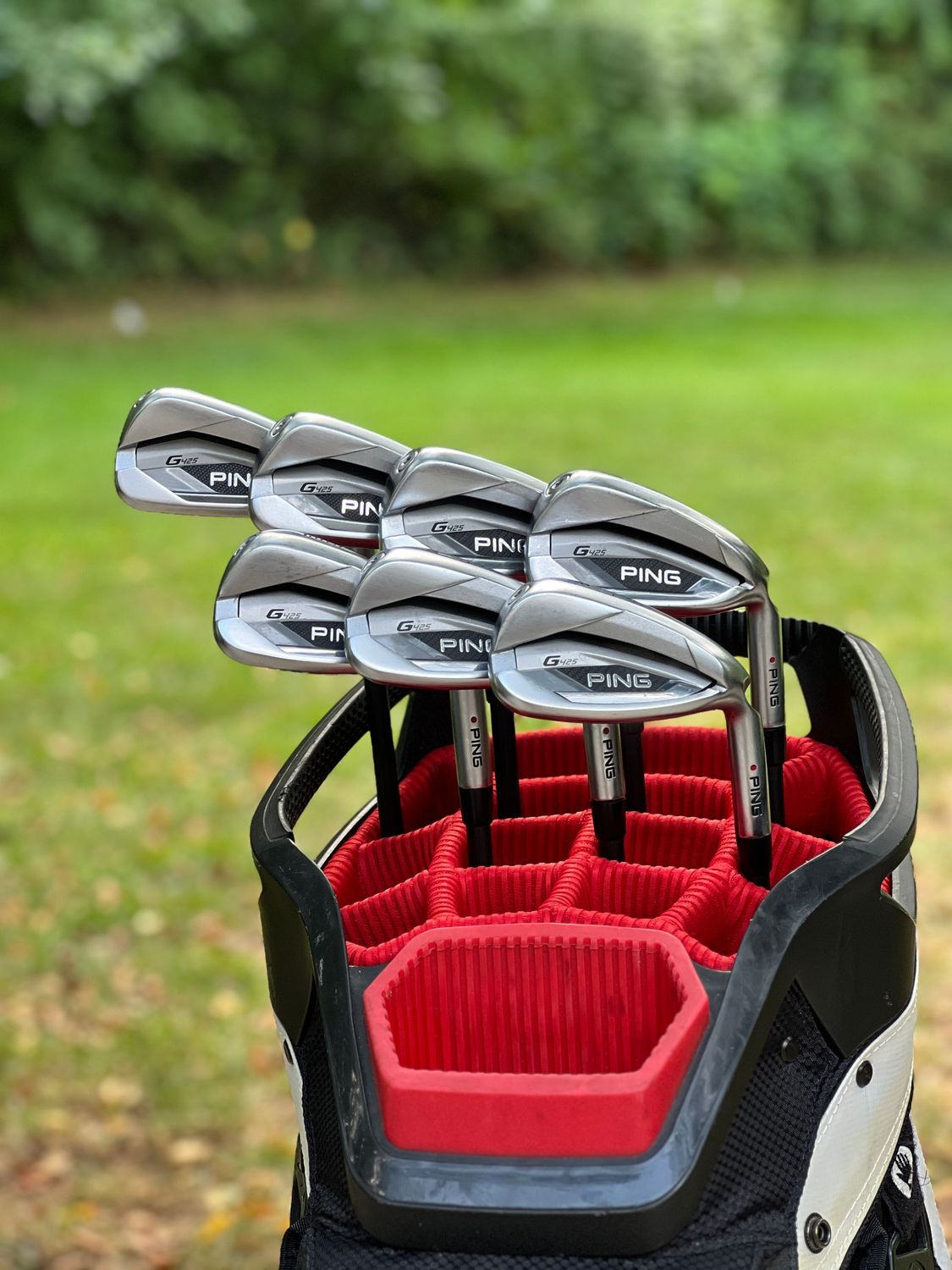 Ping G425 Iron Set