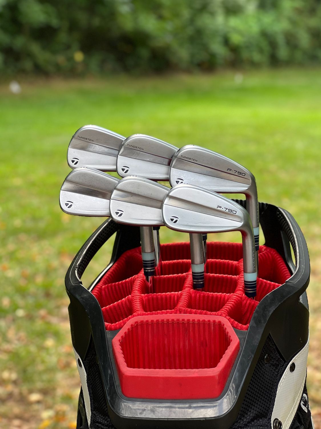 Taylormade P790 2023 Iron Set