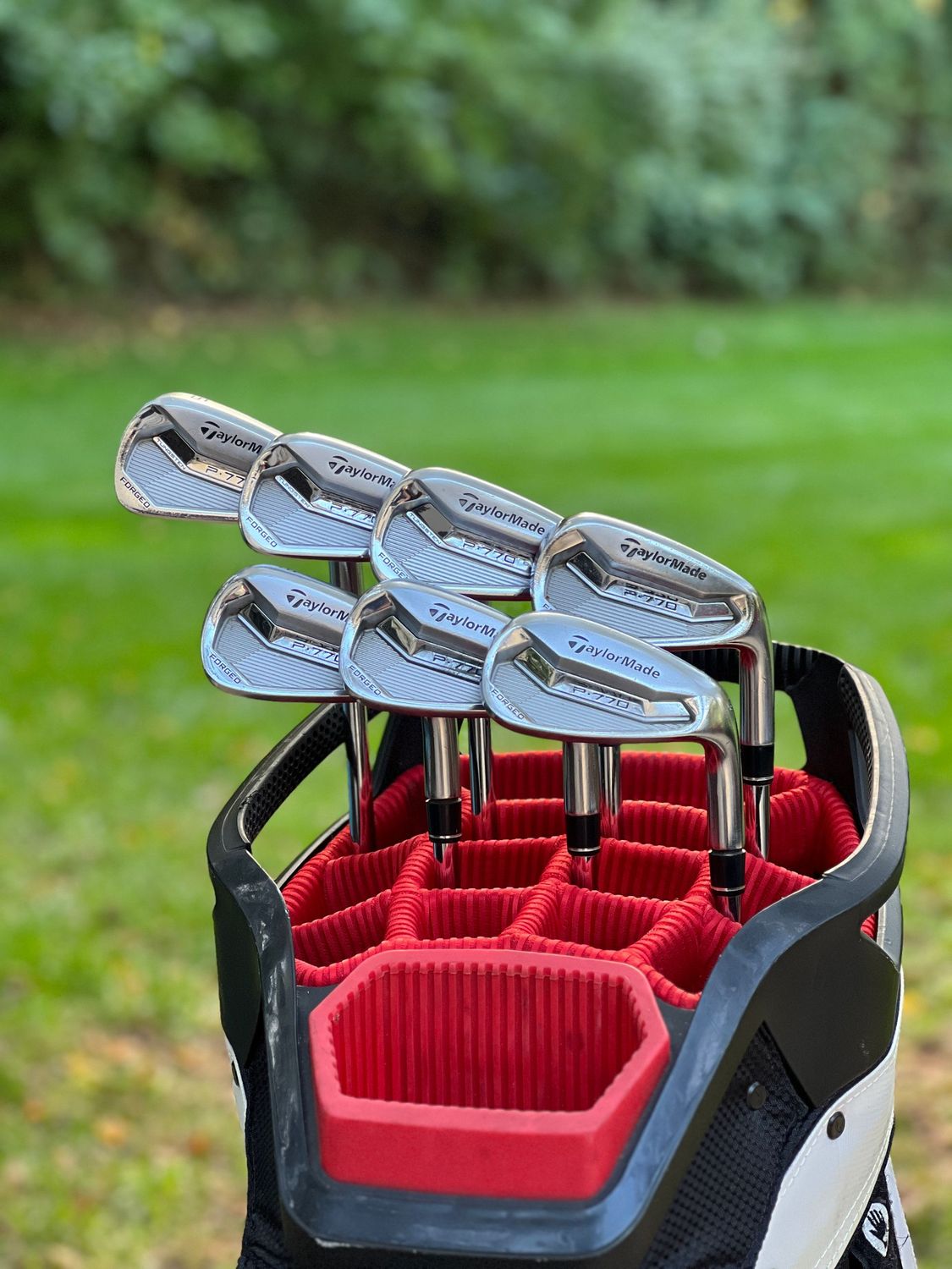 Taylormade P770 Iron Set