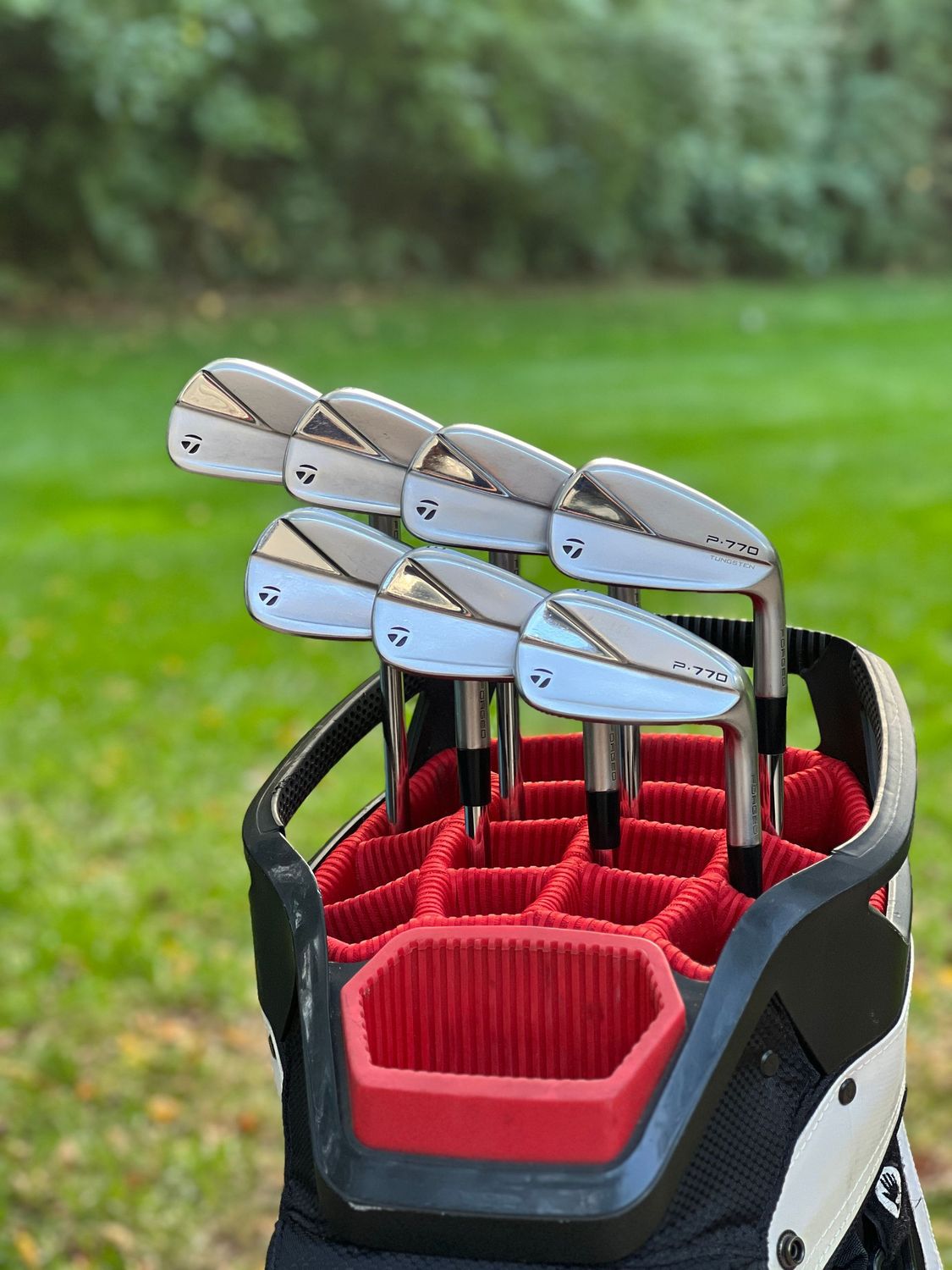 Taylormade P770 Iron Set