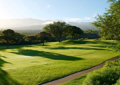 Brands, Shaft Flex, and Additional Gear