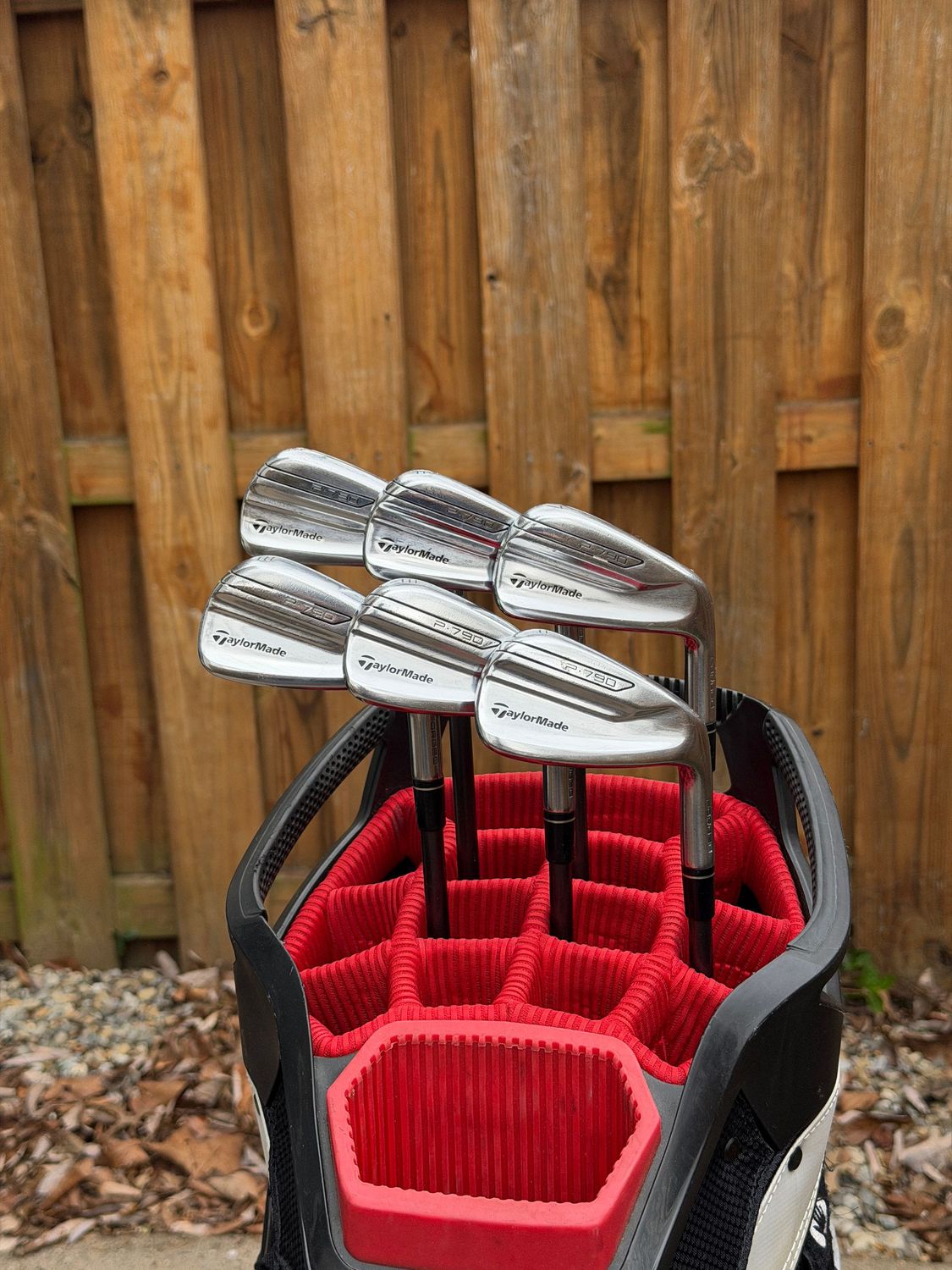 Taylormade P790 2019 Iron Set