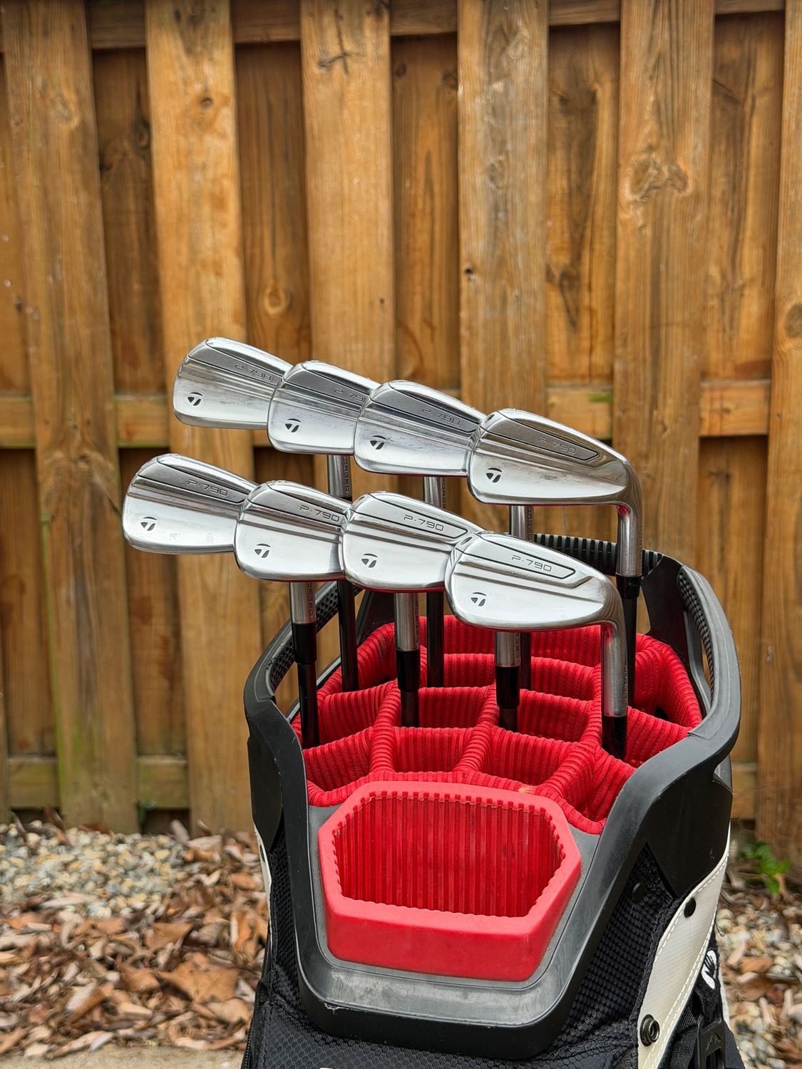 Taylormade P790 2019 Iron Set