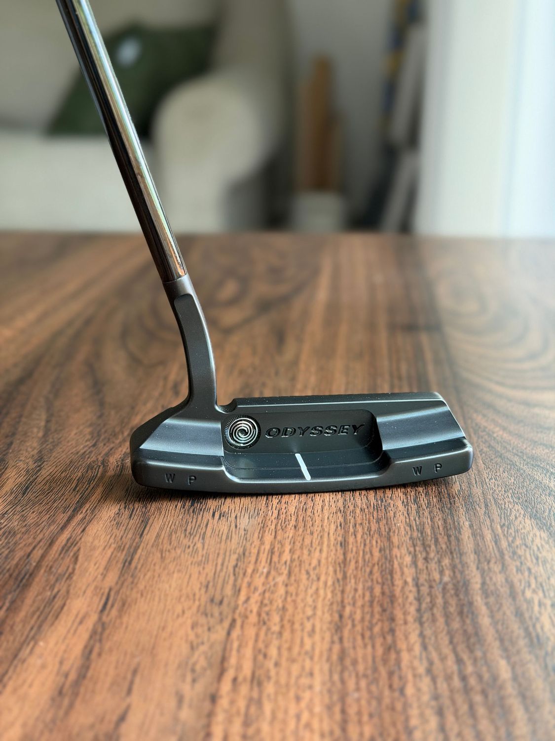 Toulon Garage Curved Neck Black San Diego Putter - Custom Toulon Garage Curved Neck Black San Diego Putter - Custom