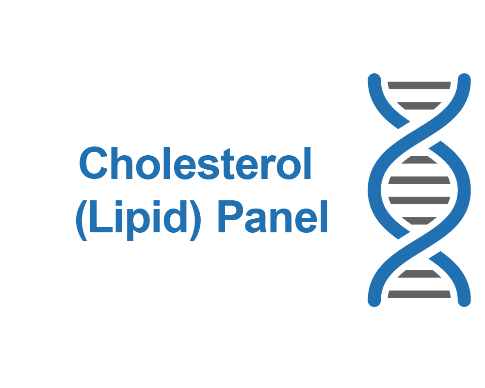 Cholesterol (Lipid) Panel